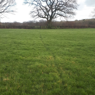 A TB Advisory Service Visit in Derbyshire