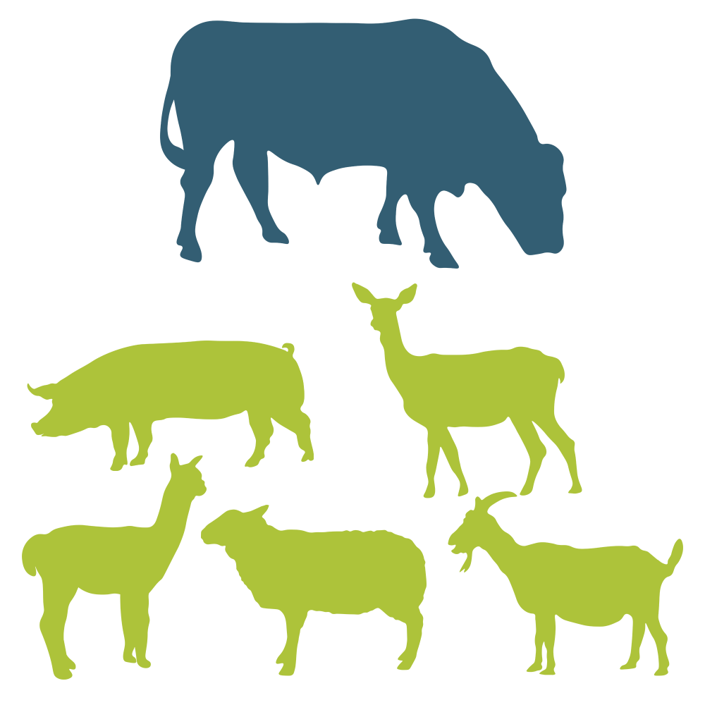 animal chart